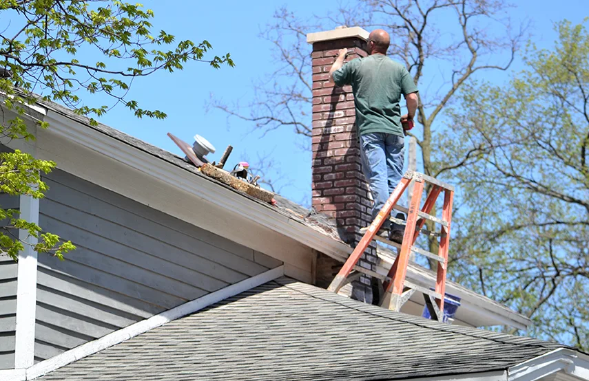 Chimney & Fireplace Inspections Services in Port Huron, MI